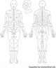 Dermatomes of the Body.jpg