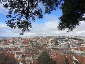 roof top view