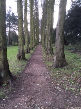 Tree path