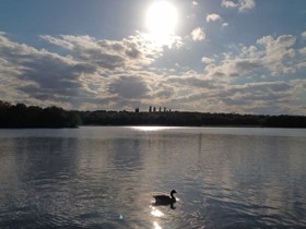 lake reflection